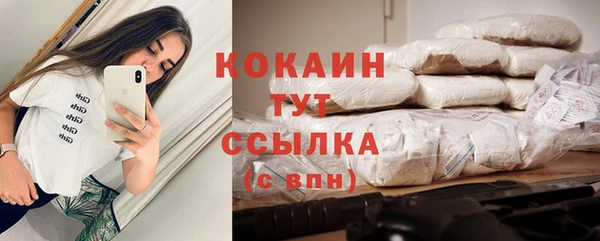 дживик Зеленокумск
